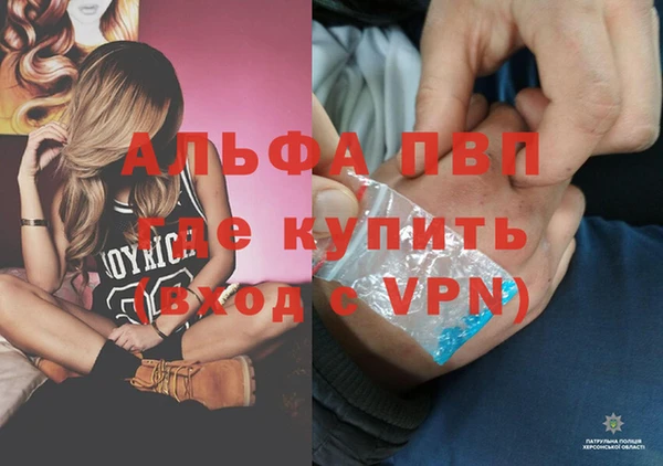 тгк Богданович